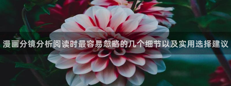 漫画岛网页入口导航